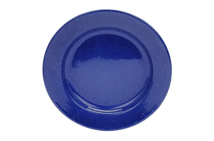 Coleman Plate Enamel 10in.